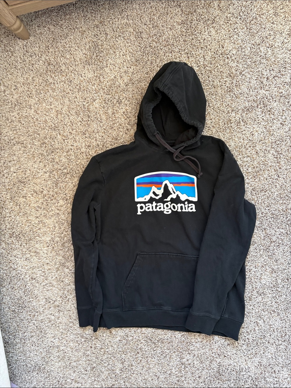 Patagonia Black Hoodie with Multicolor Mountain Logo